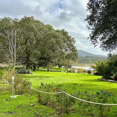 Casa Rural Alcornocalejo Monesterio Eksteriør billede